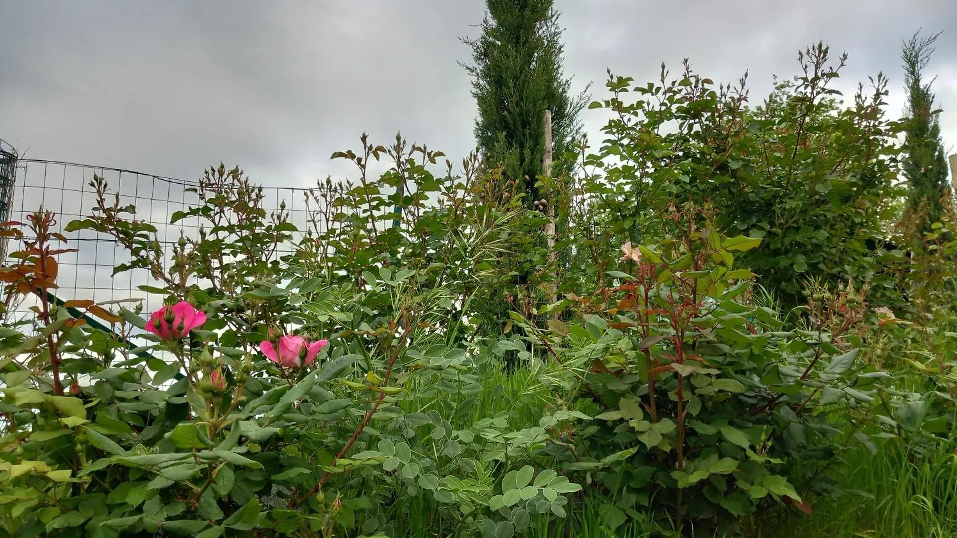 Farm stay Podere Luma Camera Gelsomino - Lavanda Gambassi Terme