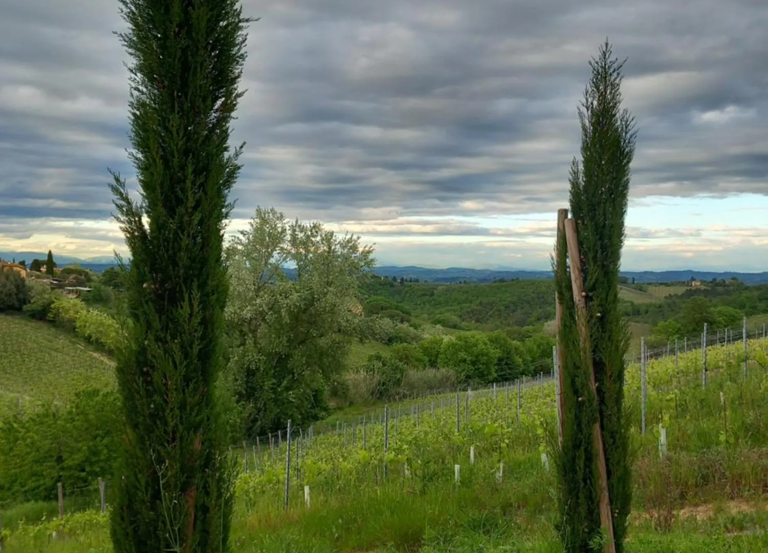 Podere Luma Camera Gelsomino - Lavanda Gambassi Terme 0*,