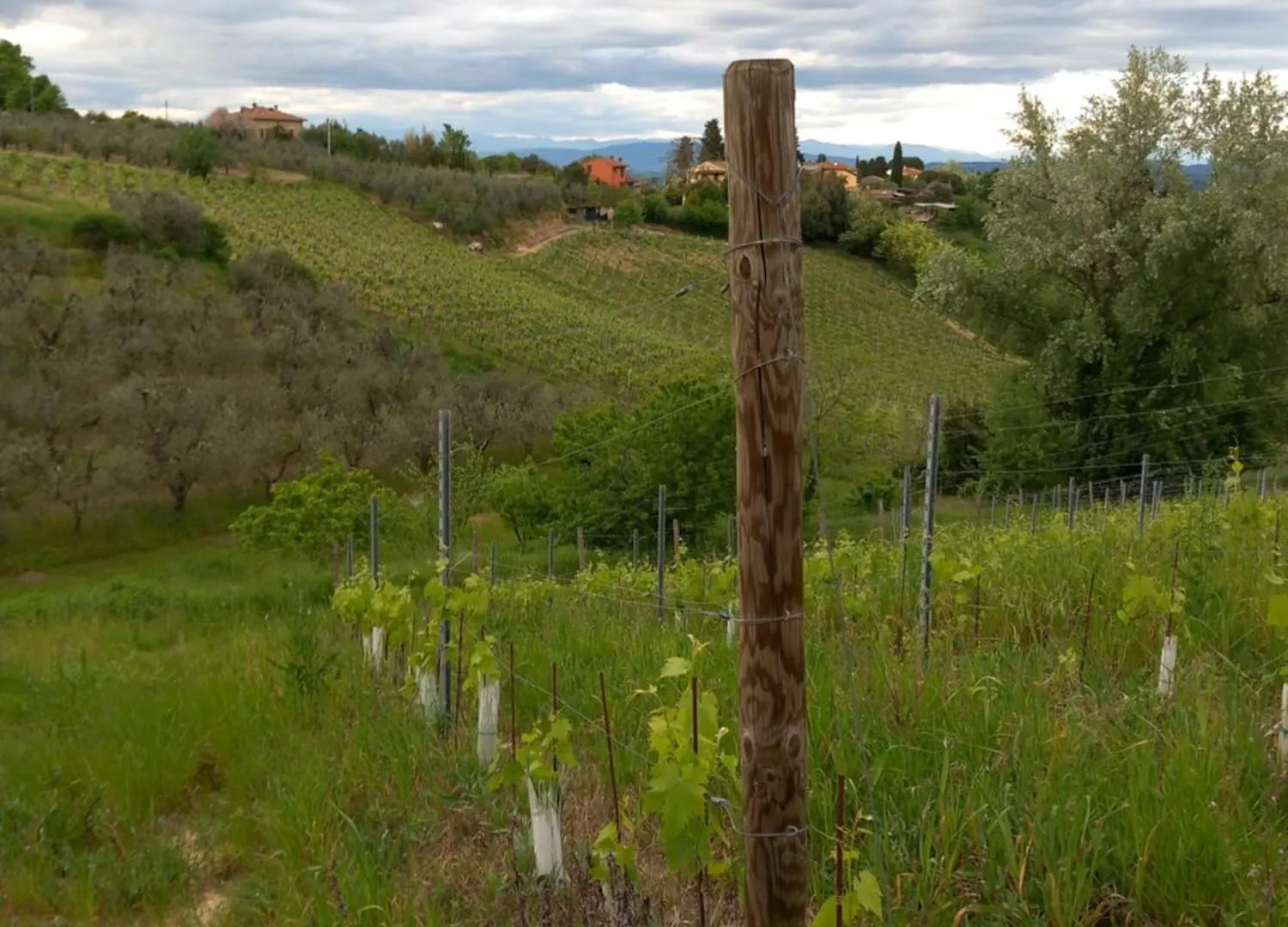 Podere Luma Camera Gelsomino - Lavanda Gambassi Terme Farm stay