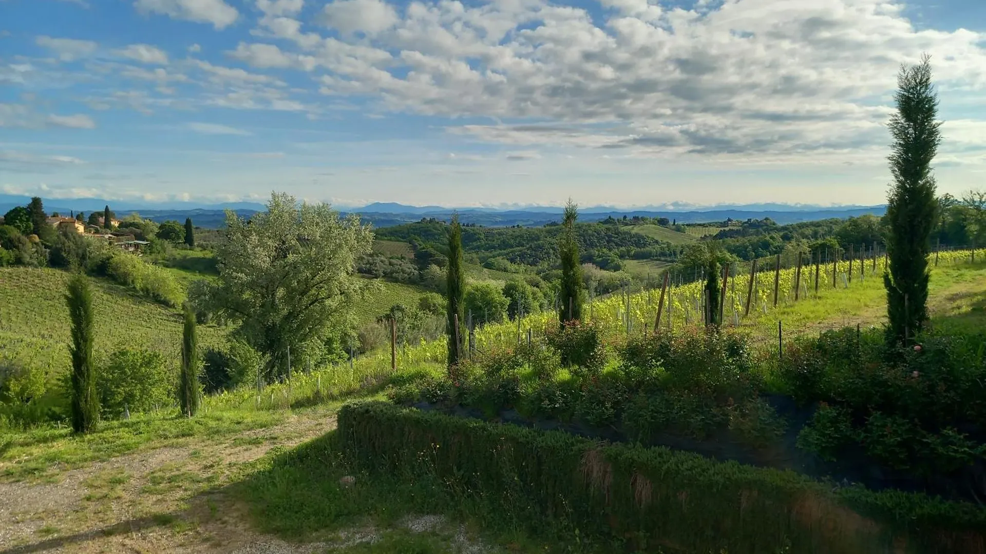 Podere Luma Camera Gelsomino - Lavanda Gambassi Terme Italy